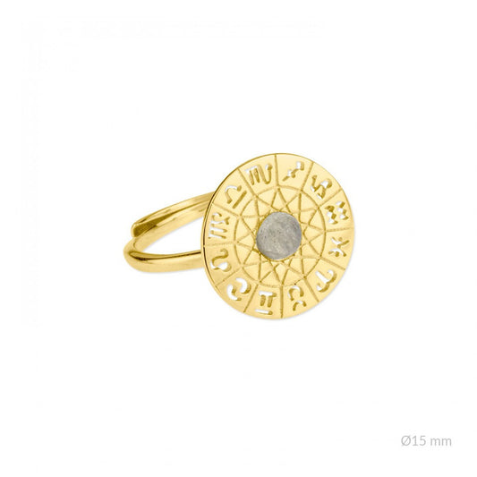 Anillo Horóscopos de Plata de Ley Chapado en Oro